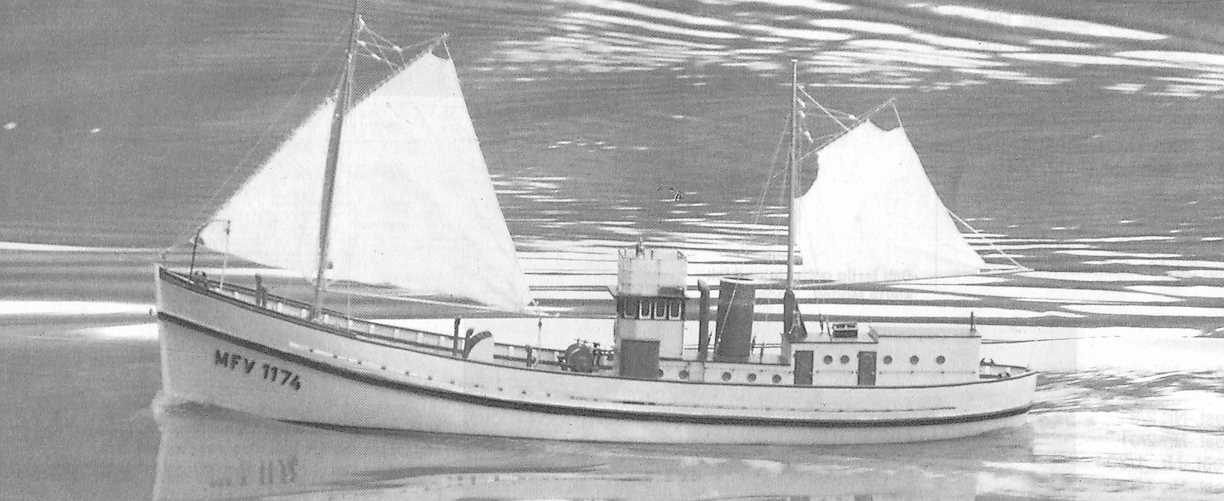 Dampf- Trawler MFV 1174